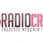 Logo Radio Crazy