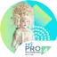 Logo RRI Pro 4 - Palembang
