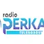 Logo Radio Perkasa FM
