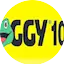 Logo Froggy 103.5