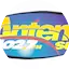 Logo Rádio Antena Sul Fm