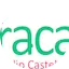 Logo Rádio Castelo Branco