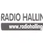 Logo Radio Hallingdal