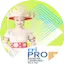 Logo RRI Pro 1 - Bandar Lampung