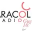 Logo Caracol Radio