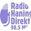 Logo Radio Haninge Direkt