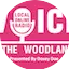 Logo Voice of The Woodlands