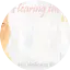 Logo Bhakti Vikasa Swami Radio