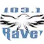 Logo The Raven