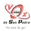 Logo La Voz De San Pedro