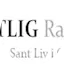 Logo True Life in God Radio Swedish