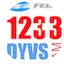 Logo 1233 DYVS