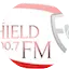 Logo The Shield FM