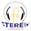 Logo Festereo