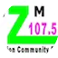 Logo WZMO