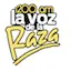 Logo La Voz De La Raza
