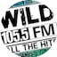 Logo Wild 105.5