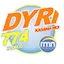 Logo DYRI
