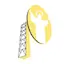 Logo Veritas Asia
