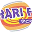 Logo Arari FM