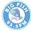 Logo Big Fish