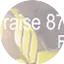 Logo PRAISE 87.9 FM