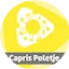 Logo Radio Capris Poletje