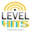 Logo Radio Level Hits
