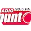 Logo Radio Punto