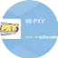Logo 98 PXY