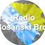 Logo Bosanski Brod