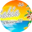Logo Radio Bahia FM