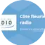 Logo Côte fleurie radio