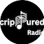 Logo Scriptured Radio