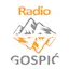 Logo Radio Gospić