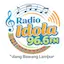 Logo Radio IDOLA 96.6 FM - BSK Radio Network