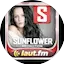 Logo Sunflower Promotion - New Hits