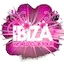 Logo Hits 1 Clubbing Party