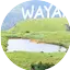 Logo voice of wayanad