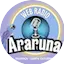 Logo Web Rádio Araruna