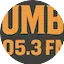 Logo Rumba 105.3 FM