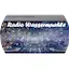 Logo radio-wassermuehle.de