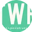 Logo Totally Wired Radio
