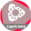 Logo Radio Capris Istra