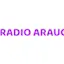 Logo Araucaria