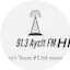 Logo 91.3 Ayclt FM HD4