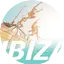 Logo NRJ Ibiza