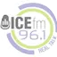 Logo 96.1 Voice FM