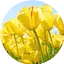 Logo Antena 9