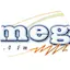 Omega Digital Stereo
